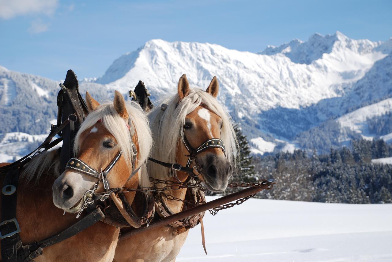 Ferienwohnung Haus Aigner Fischen im Allgäu Exterior foto